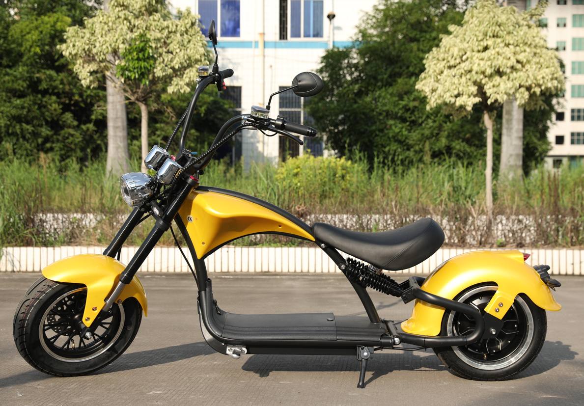 E-Chopper Z9 Pro