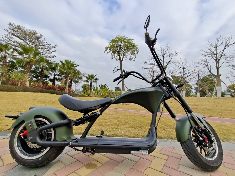 E-Chopper Z9 Pro