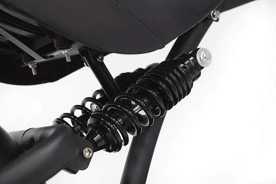 E-Chopper Z9 Pro